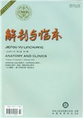 中华解剖与临床杂志