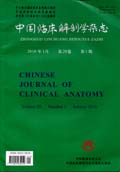 中国临床解剖学杂志
