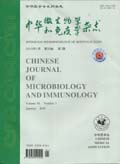 中华微生物学和免疫学杂志