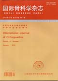 国际骨科学杂志
