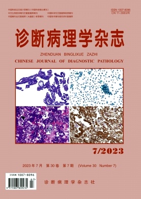 诊断病理学杂志