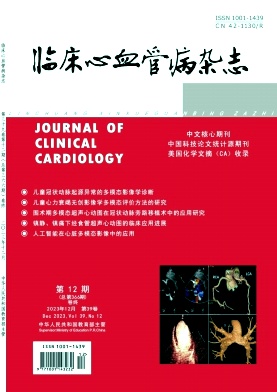 临床心血管病杂志