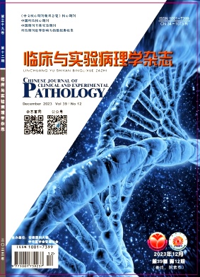 临床与实验病理学杂志